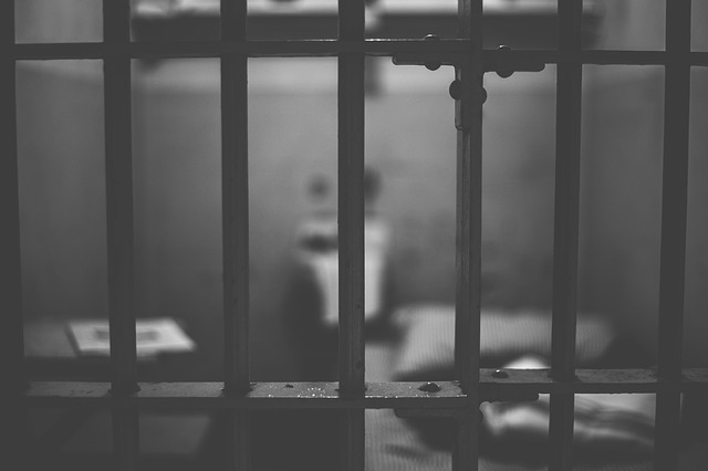 Abogados derecho penal internacional