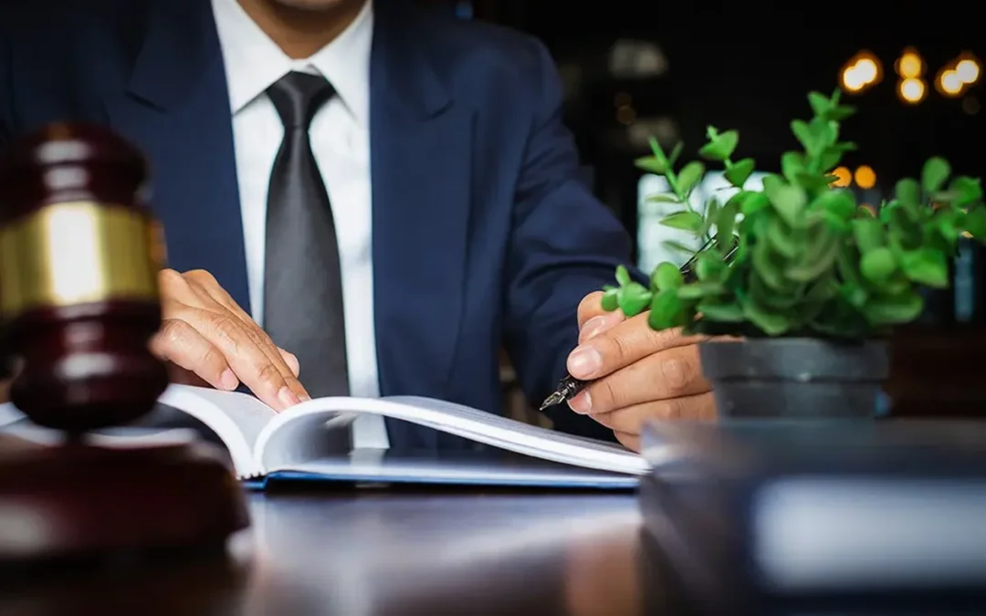 Abogados delitos medio ambiente
