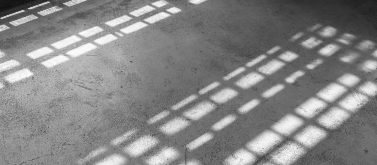 derecho penal bonilla abogados